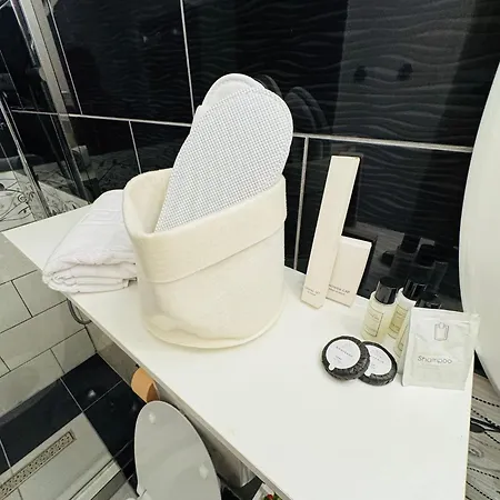 شقة Savoya N°20 Old Town تيميشورا