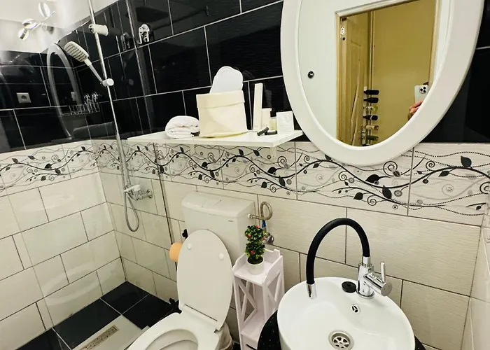 Apartment Savoya N°20 Old Town Timişoara