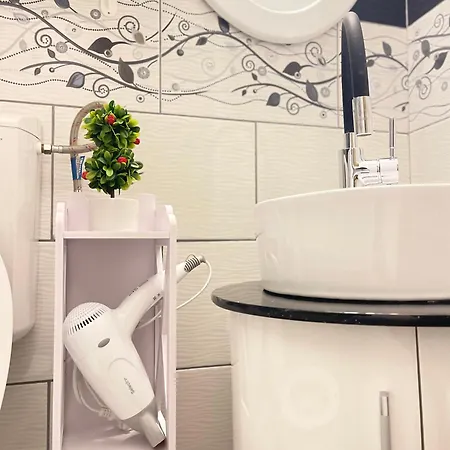 Savoya N°20 Old Town Apartment Timisoara