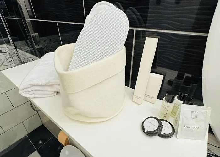 Apartamento Savoya N°20 Old Town Timişoara